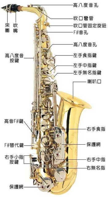 薩克斯結構 薩克斯結構